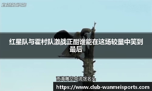 红星队与霍村队激战正酣谁能在这场较量中笑到最后